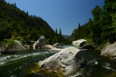 DSC_2255 (Large).JPG